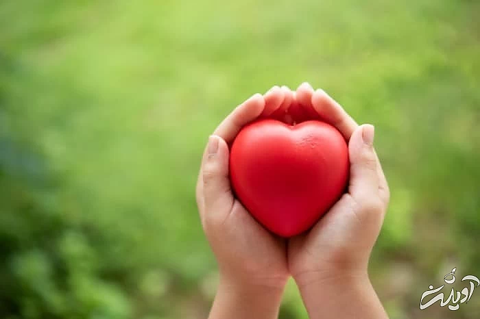  کالری باغبانی 